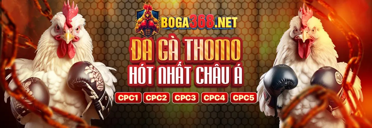 Khuyến Mãi Độc Quyền 197vip