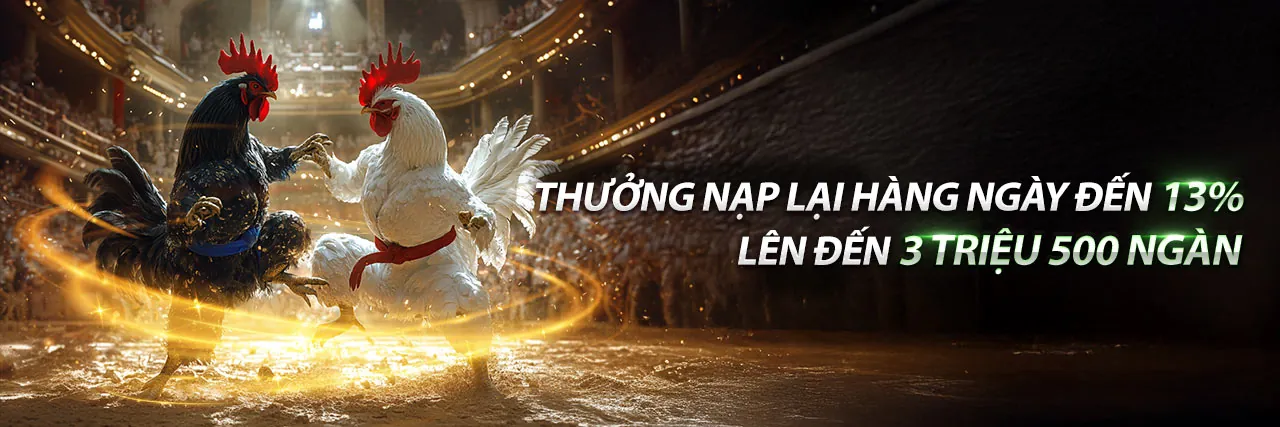 Đá Gà Trực Tuyến 197vip nhà cái